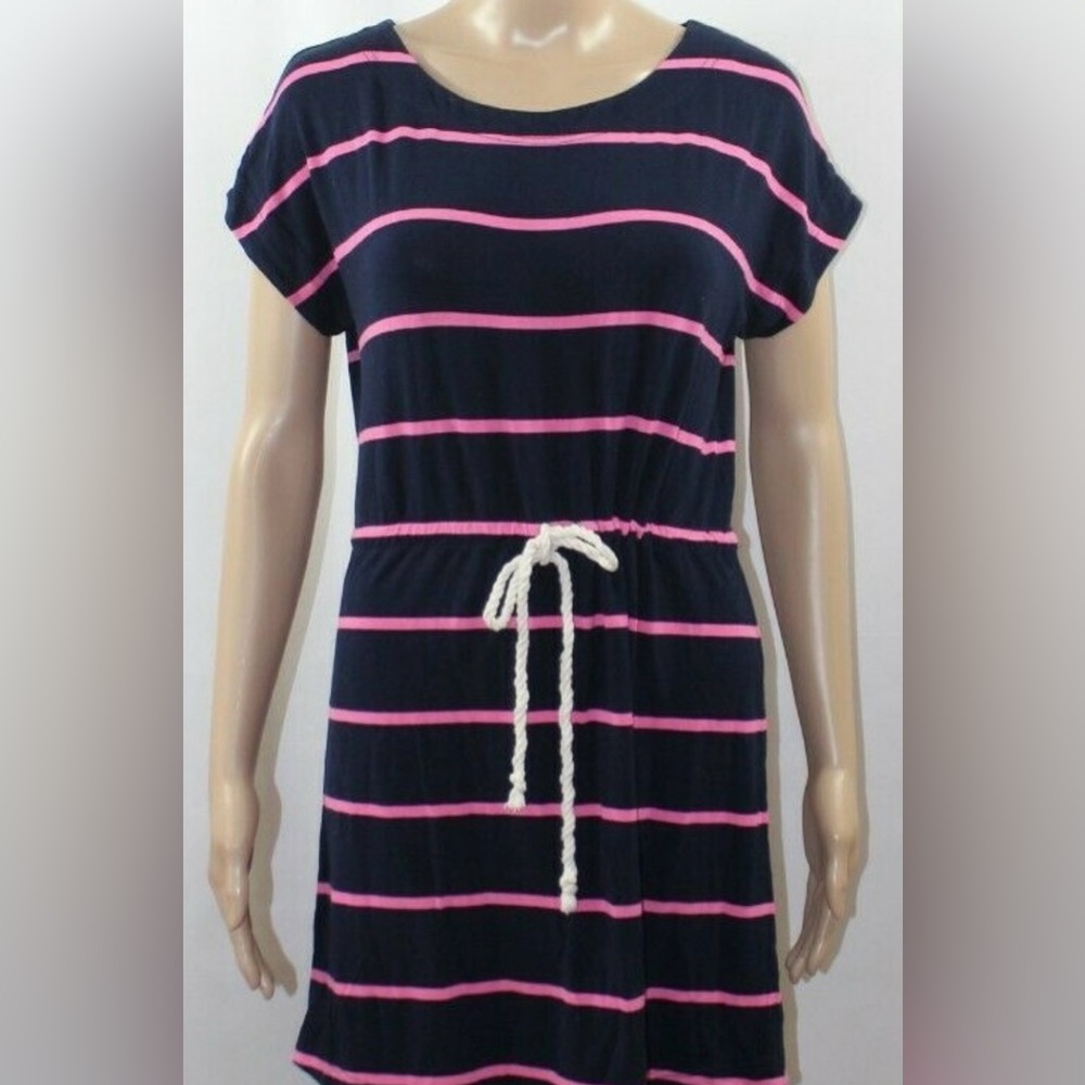 J. Crew Navy and Pink Striped Dress